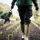 Olive green leather-lined wellington boots stepping forward with lugged soles