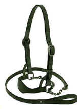 Red Rae Saddlery - Leather Bull Show Halters