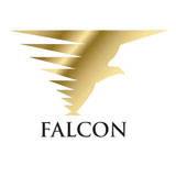 Falcon bags and luggage